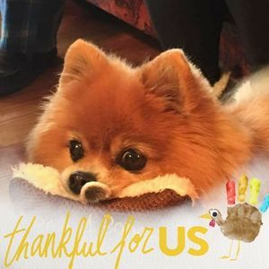 Meet your Posher, Cathy